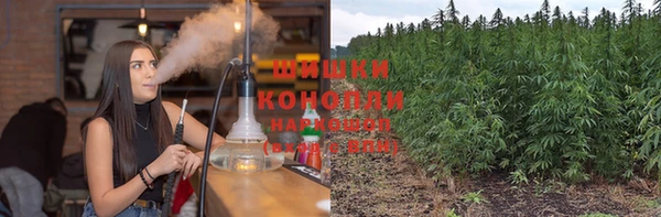 первитин Богданович