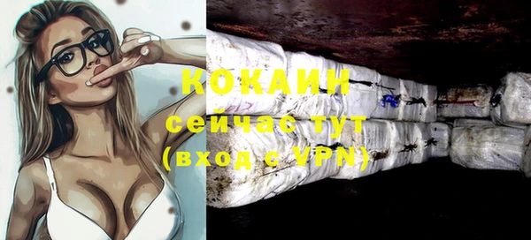 дживик Богородицк