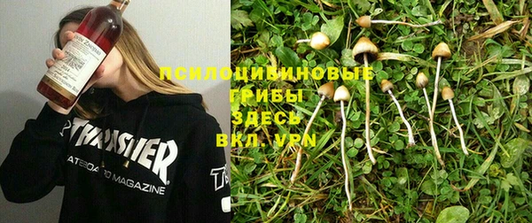 первитин Богданович