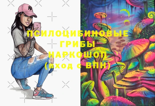 герыч Бронницы
