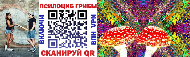 Купить закладки  Краснозаводск  Псилоцибиновые грибы прущие грибы 